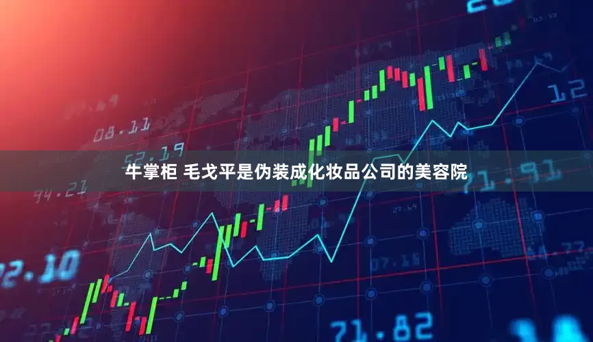 牛掌柜 毛戈平是伪装成化妆品公司的美容院