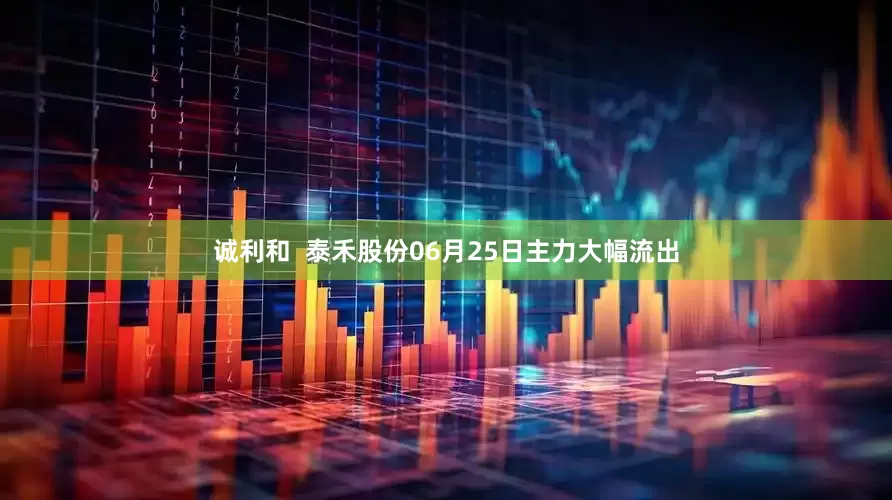 诚利和  泰禾股份06月25日主力大幅流出