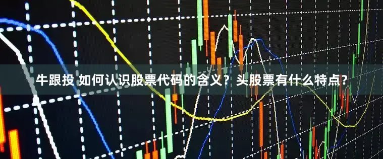 牛跟投 如何认识股票代码的含义？头股票有什么特点？