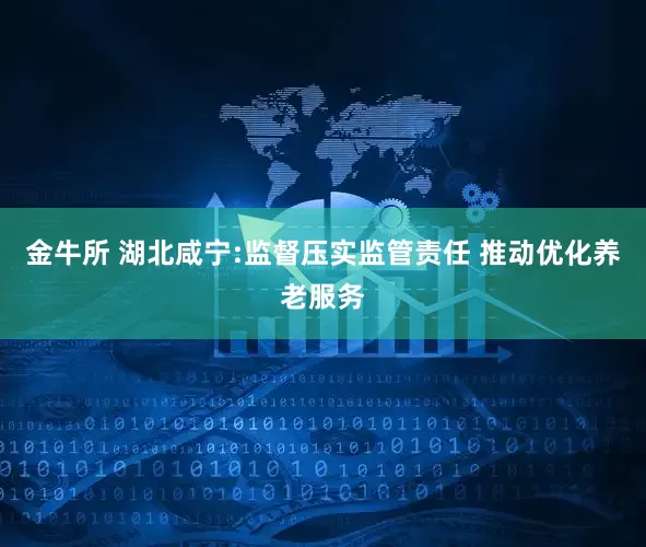 金牛所 湖北咸宁:监督压实监管责任 推动优化养老服务