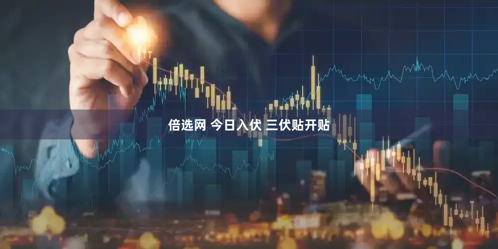 倍选网 今日入伏 三伏贴开贴