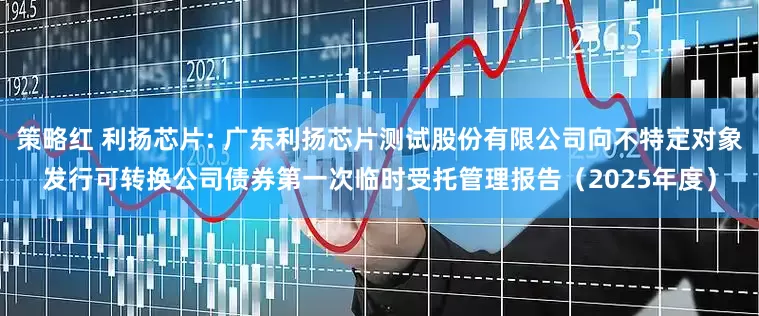 策略红 利扬芯片: 广东利扬芯片测试股份有限公司向不特定对象发行可转换公司债券第一次临时受托管理报告（2025年度）