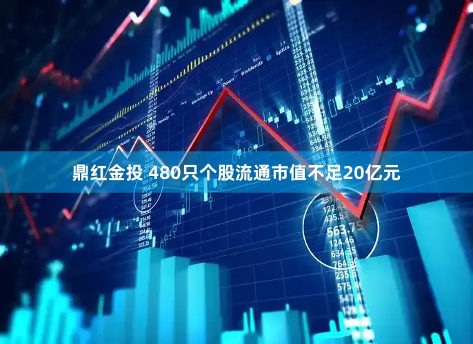 鼎红金投 480只个股流通市值不足20亿元