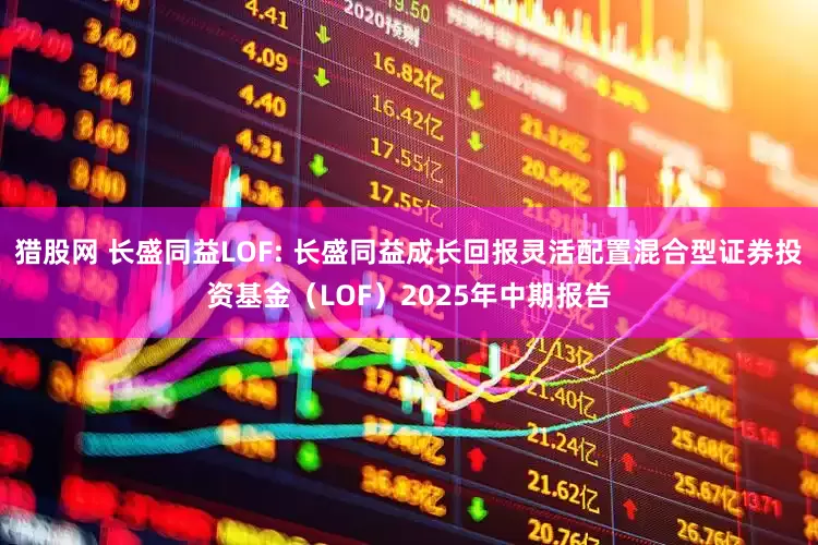 猎股网 长盛同益LOF: 长盛同益成长回报灵活配置混合型证券投资基金(LOF)2025年中期报告